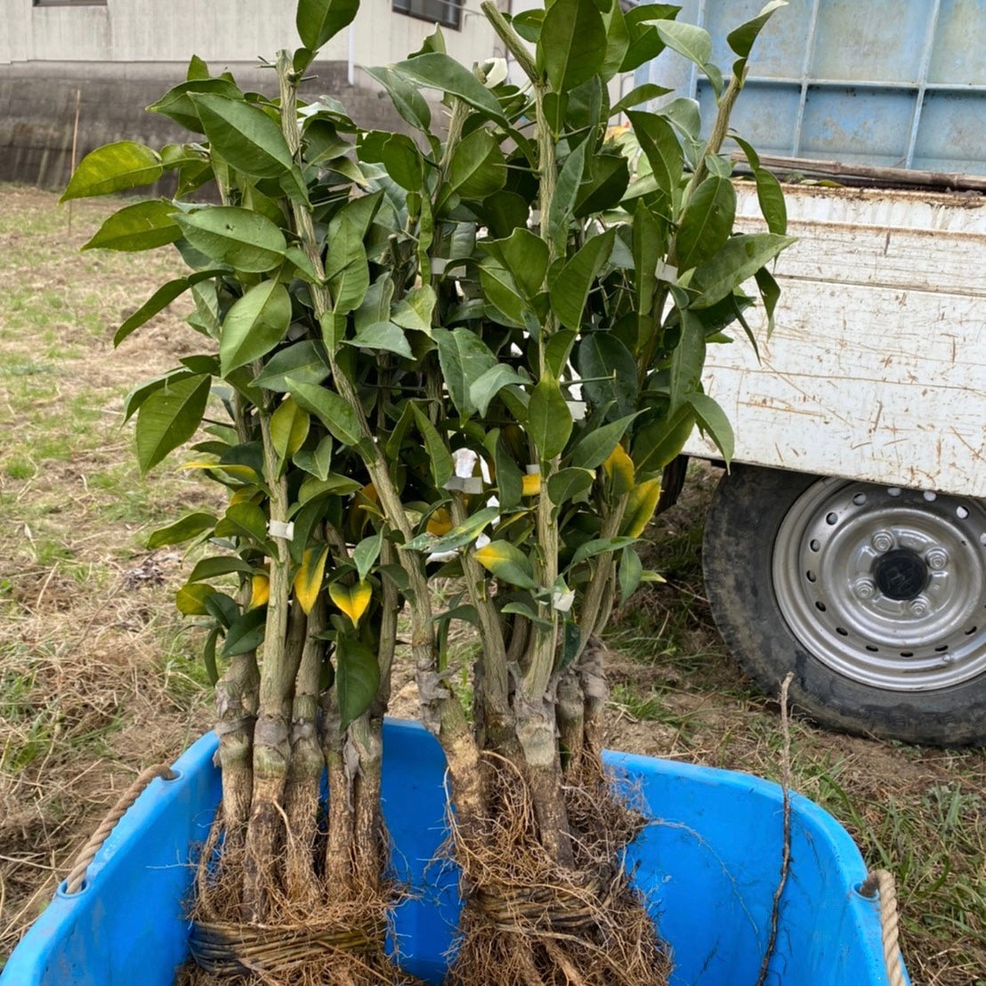 別れの季節、そして新たなスタート‼︎