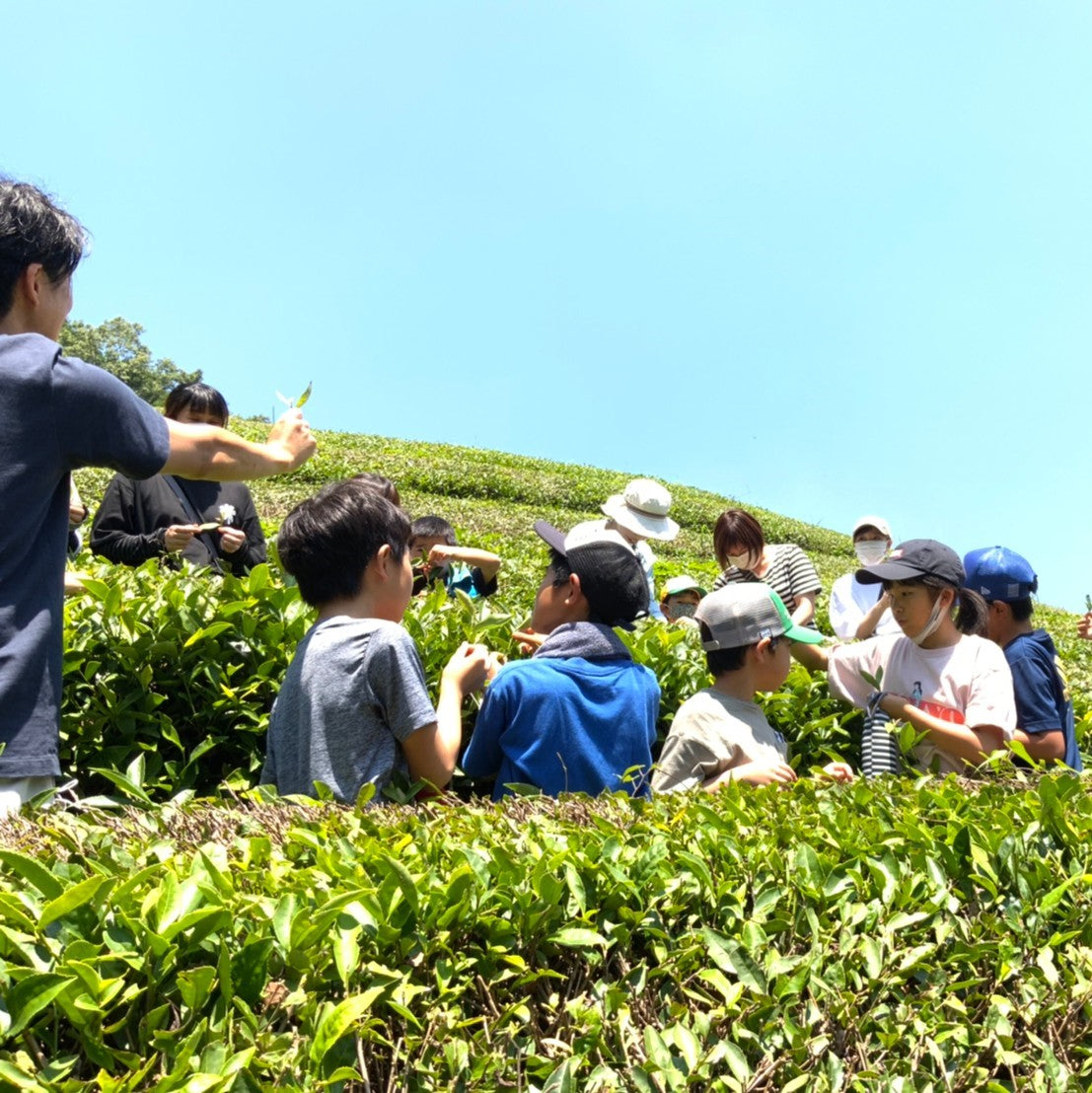 オリジナル紅茶をつくろう！！