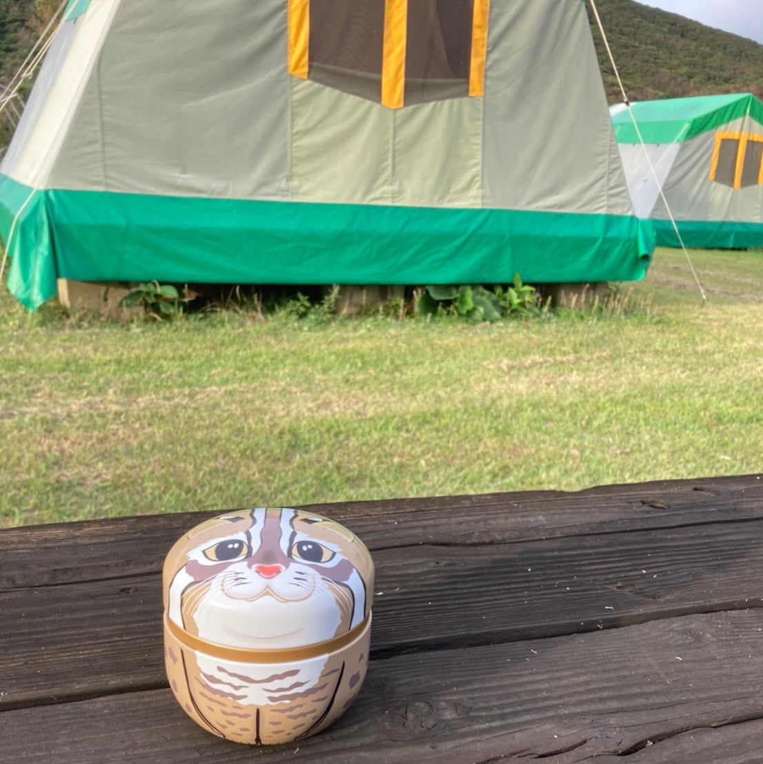 夏本番！夏を楽しもう♪