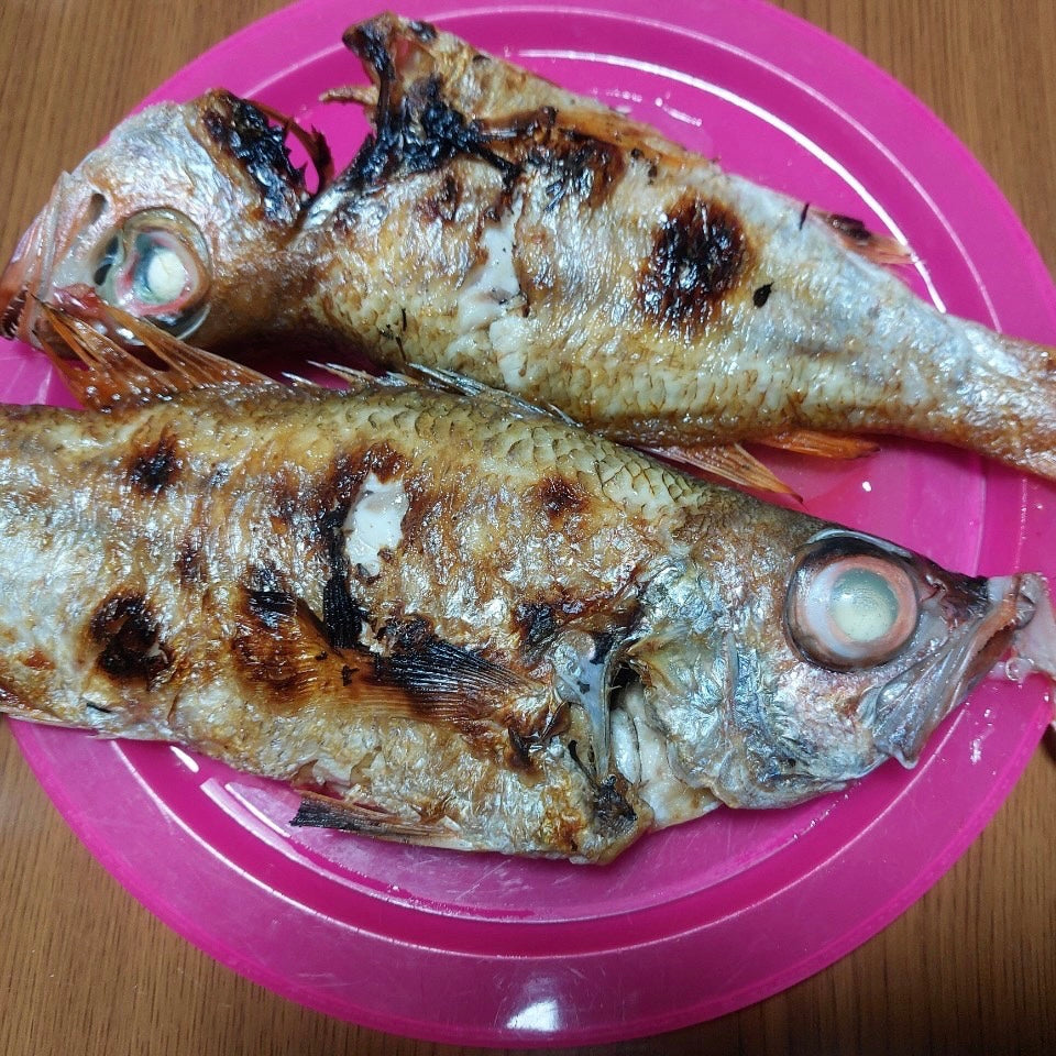 ☆春よー、こいこーい☆