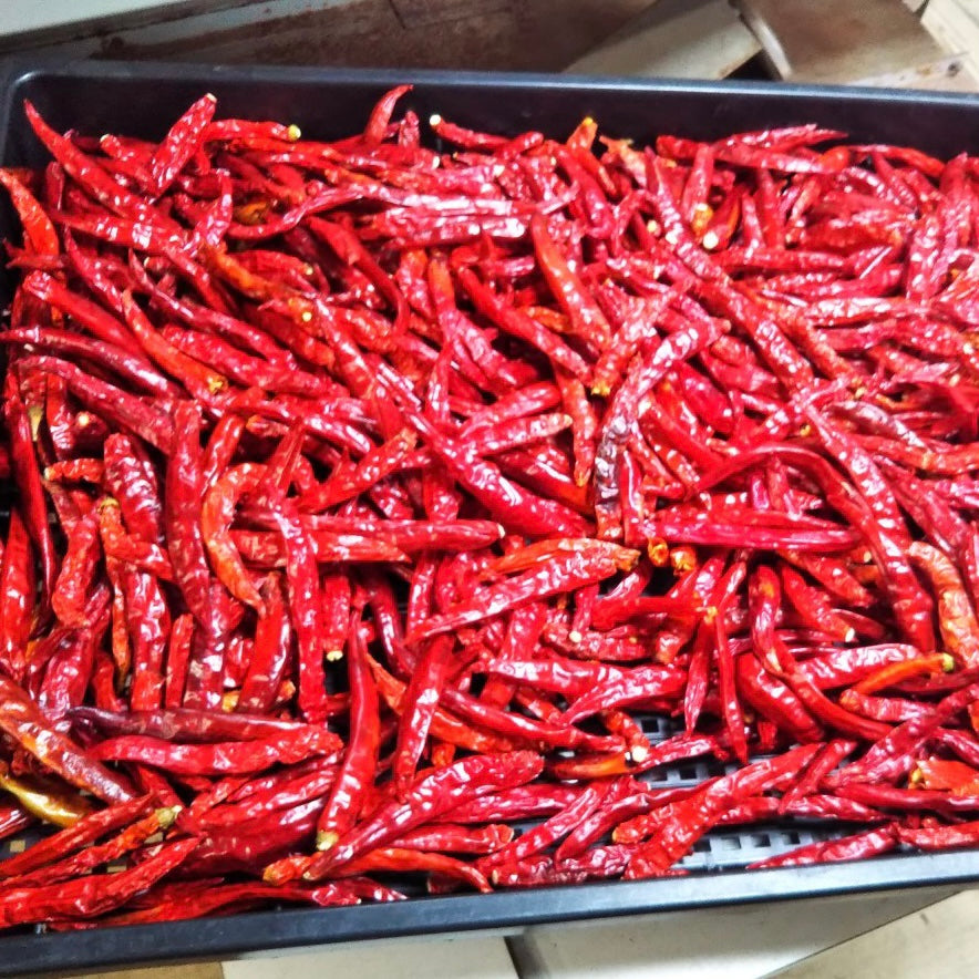 10月だけど、まだ暑いですねwww