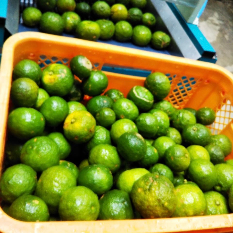 11月1日は、紅茶の日🌱🌱