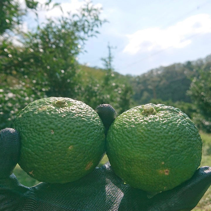 はじめまして😊