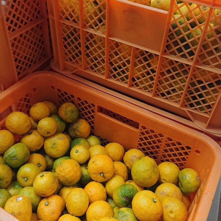 秋を楽しむ🍁🌰🍠