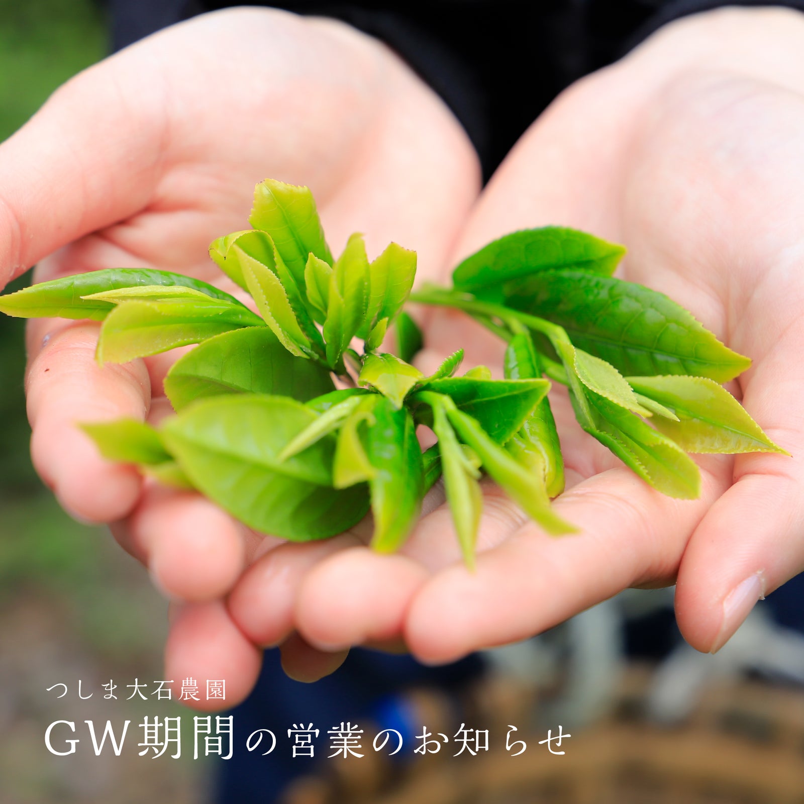 2024年 ゴールデンウィーク期間中の出荷スケジュールについて