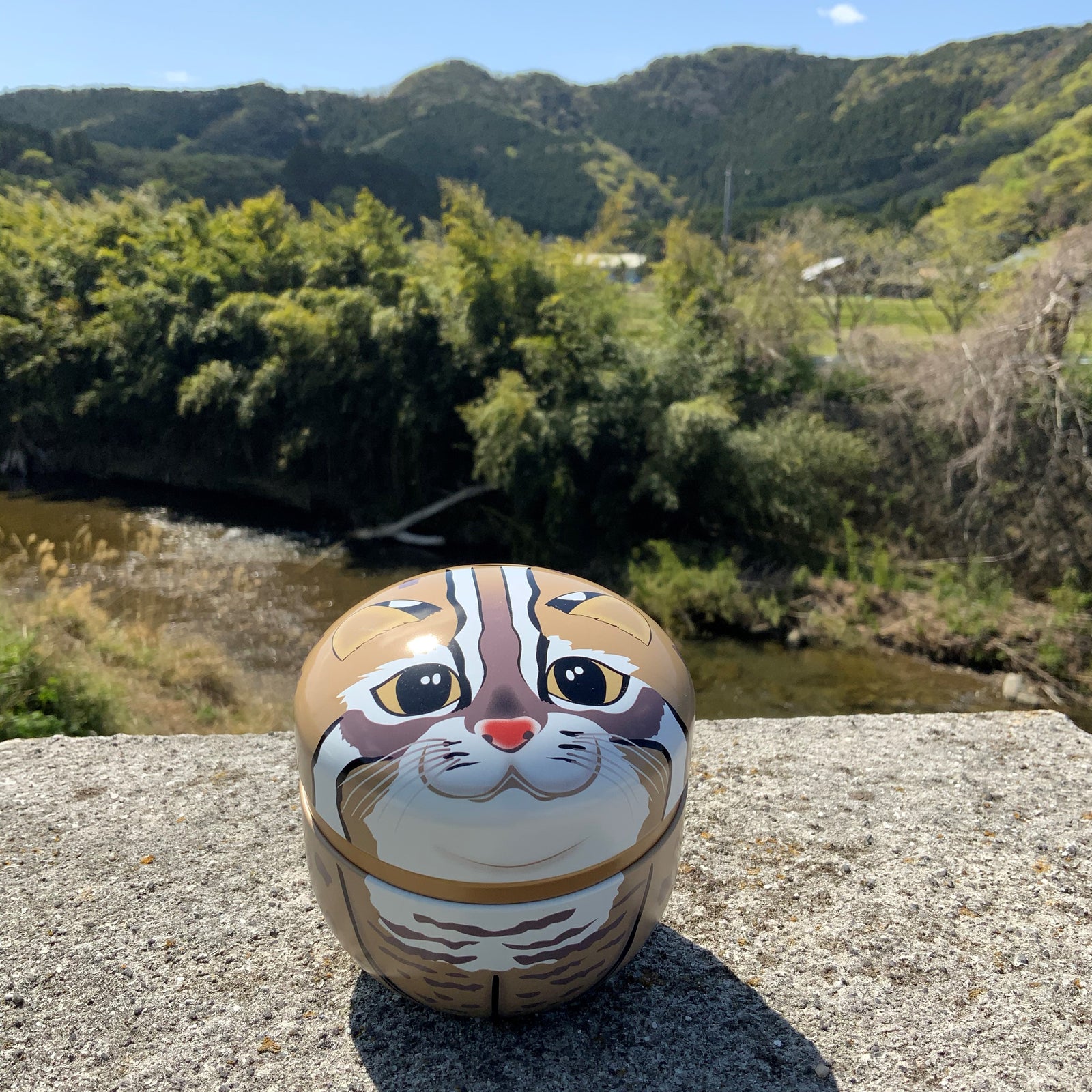 大石農園的二十四節季【立夏】