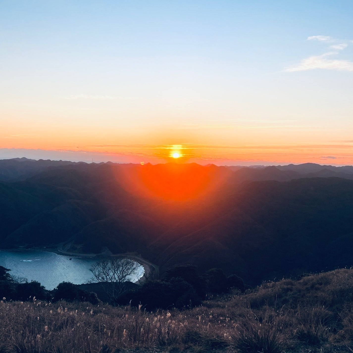 新年のご挨拶 2026年午年