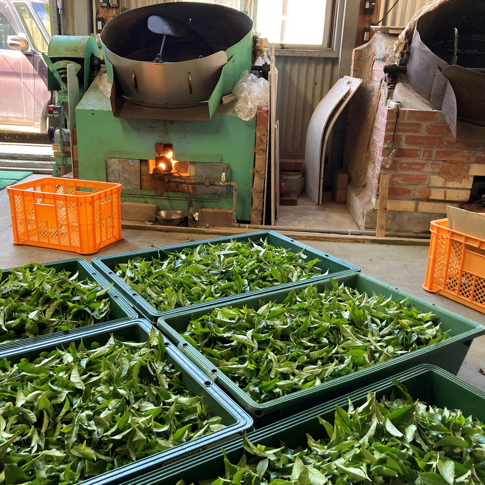 【体験記】つしま大石農園のインターン体験