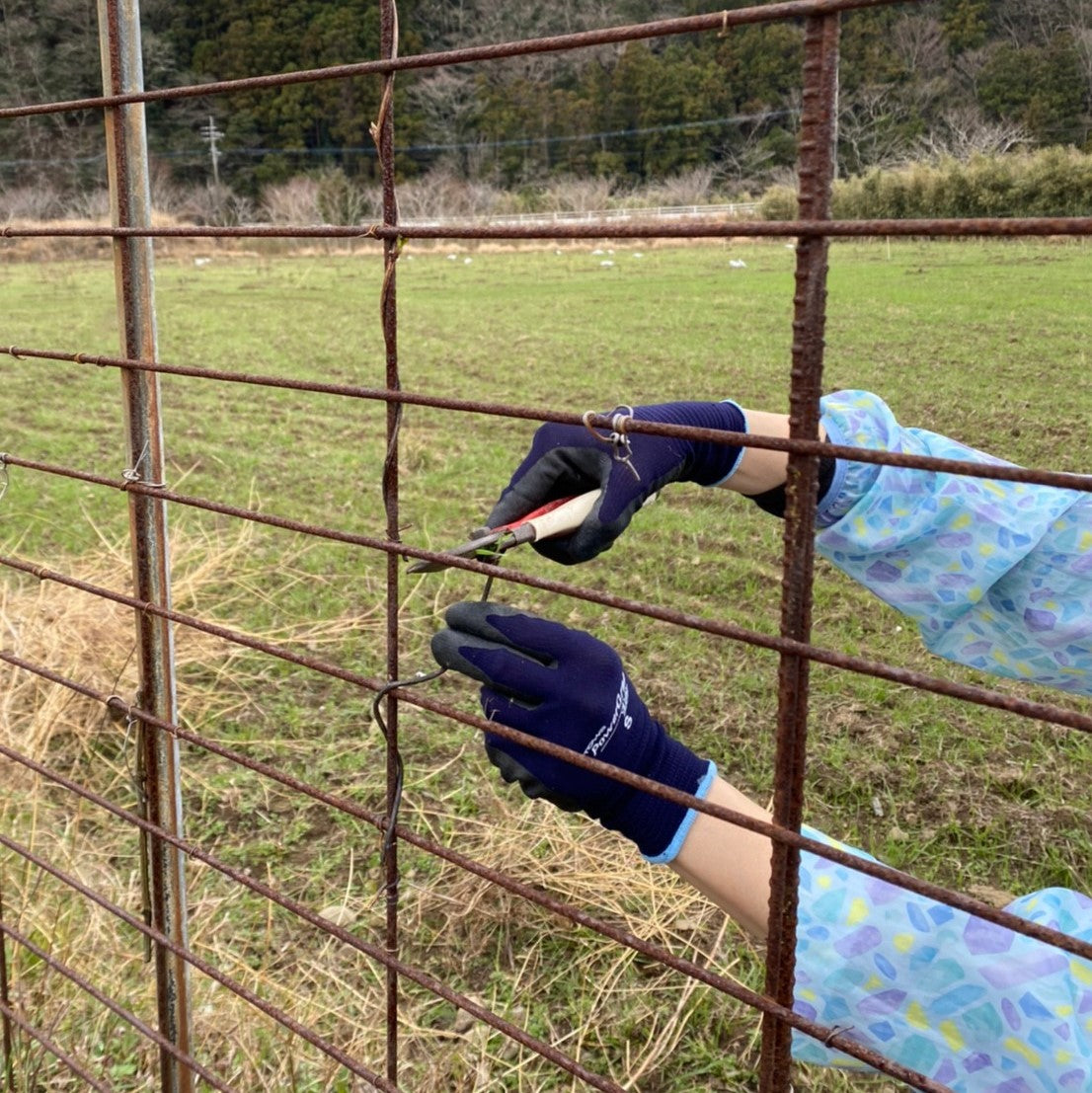 大石農園的二十四節季【春分】
