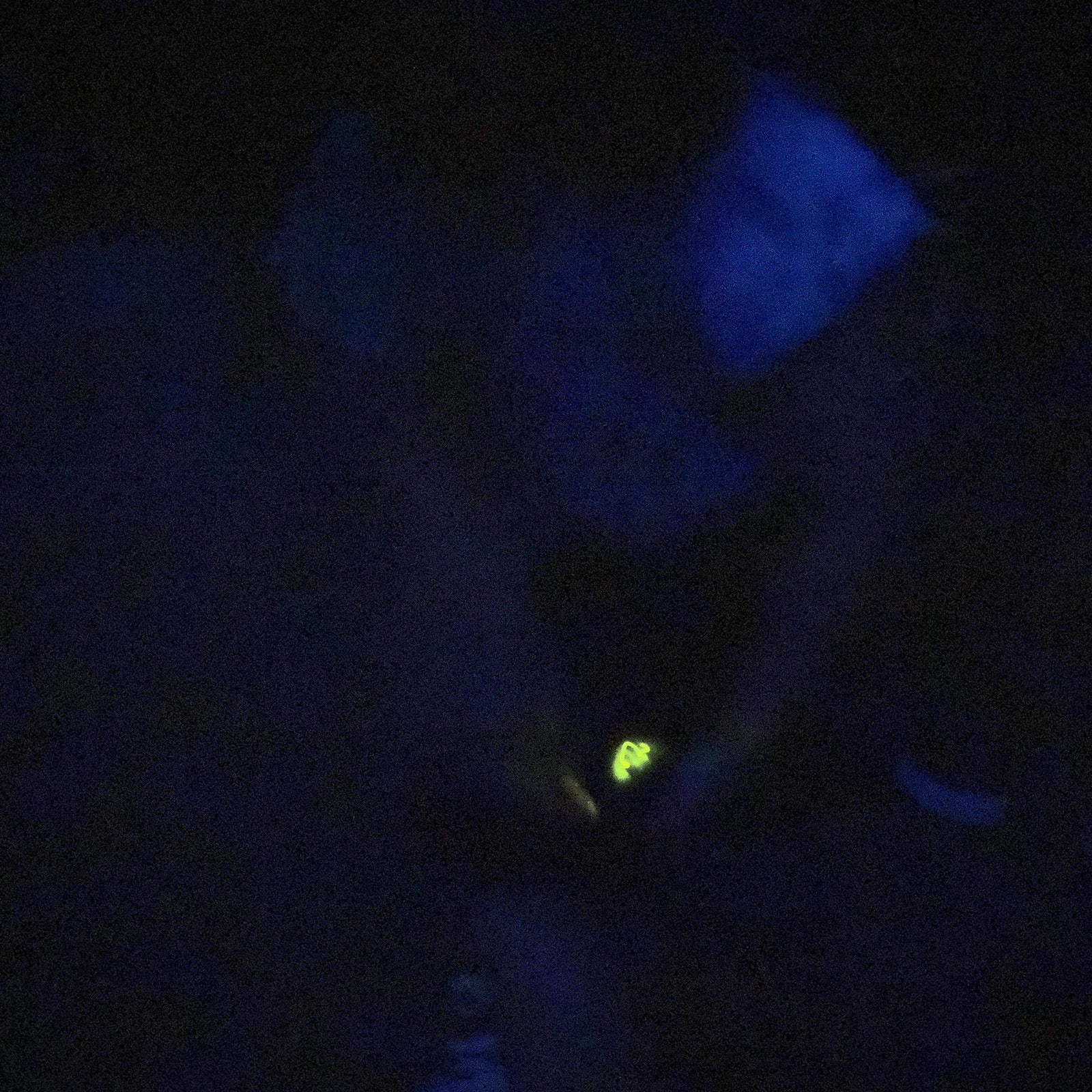 大石農園的二十四節季【夏至】