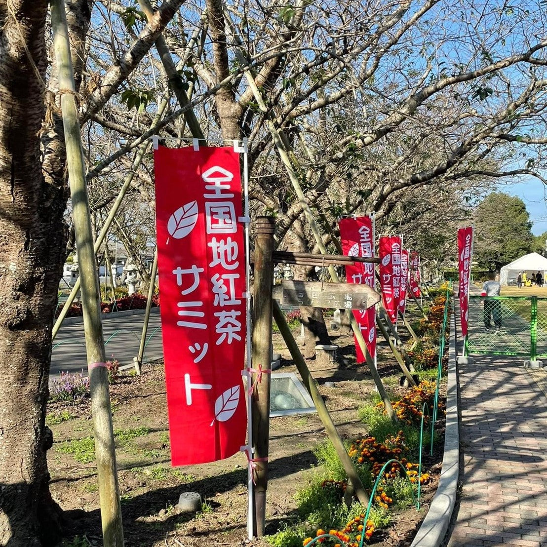 駆け抜けた11月～！