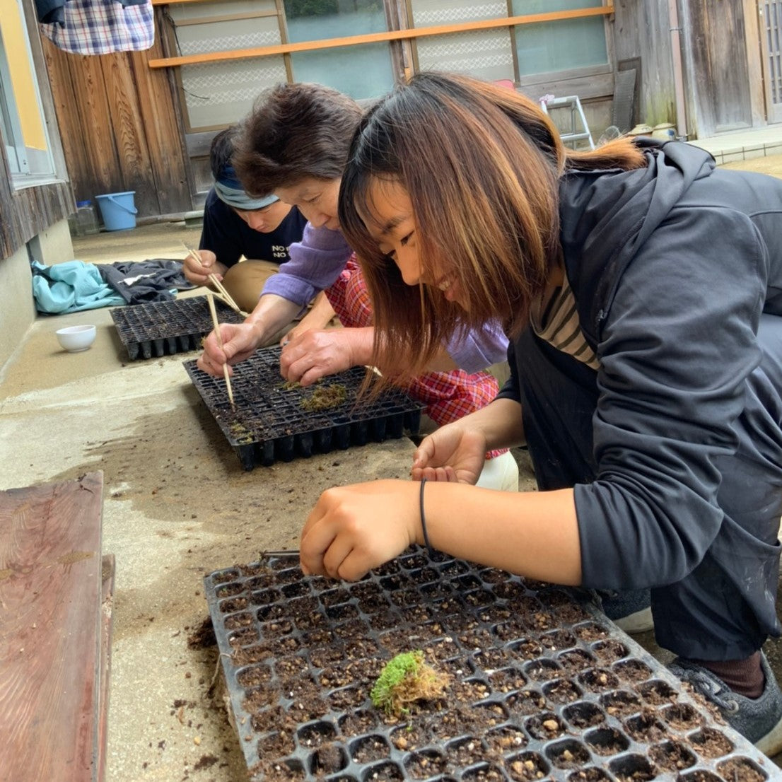 ［体験記］つしま大石農園で働いてみて