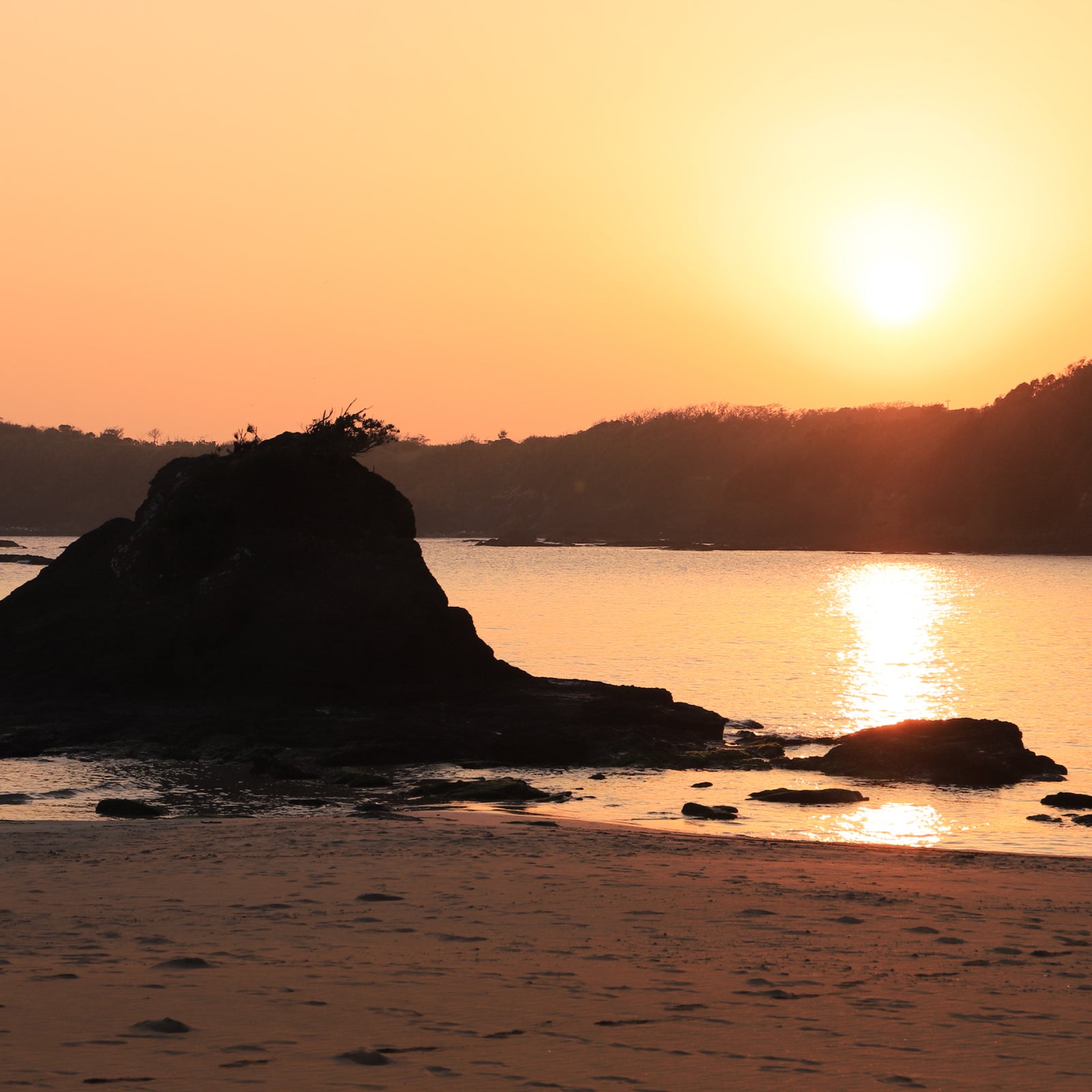 2024年 新年のご挨拶