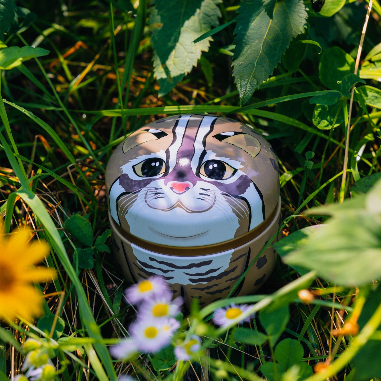 大石農園的二十四節季【雨水】