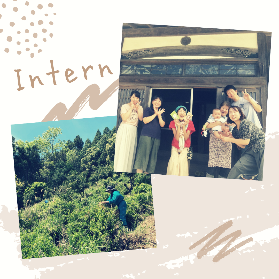 農業体験・インターン・WWOOF